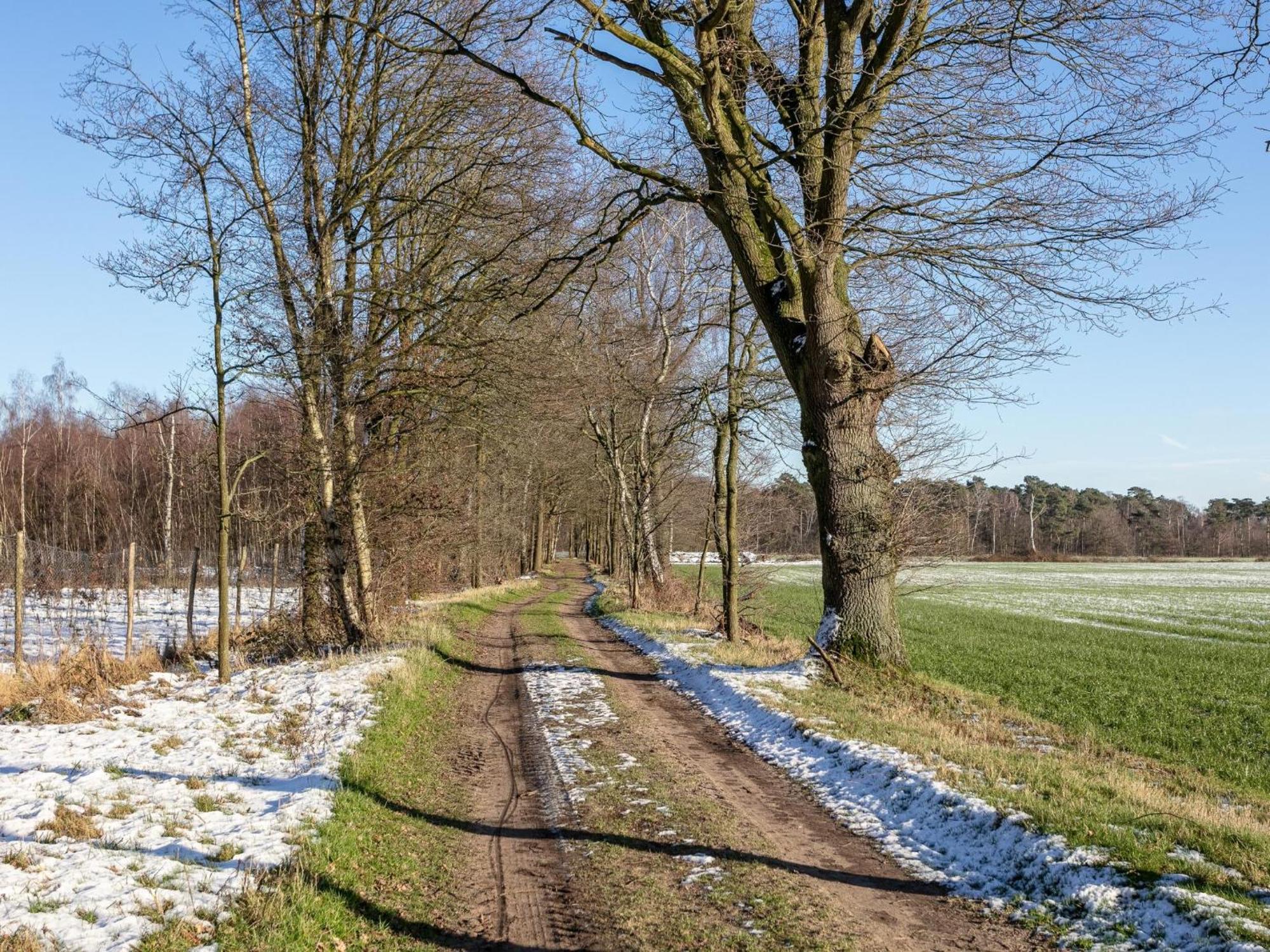 Lindehoeve Villa Turnhout Dış mekan fotoğraf