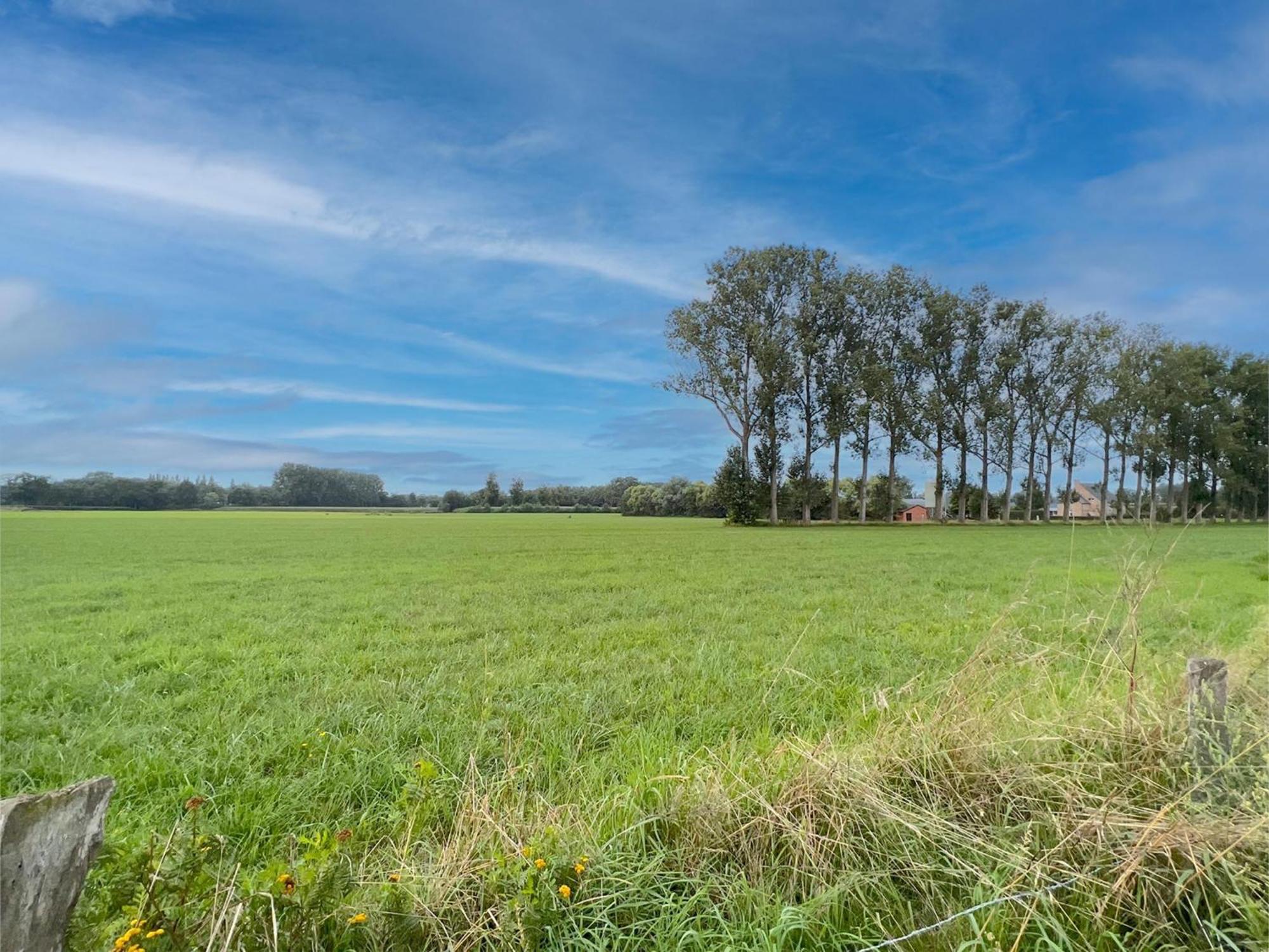 Lindehoeve Villa Turnhout Dış mekan fotoğraf