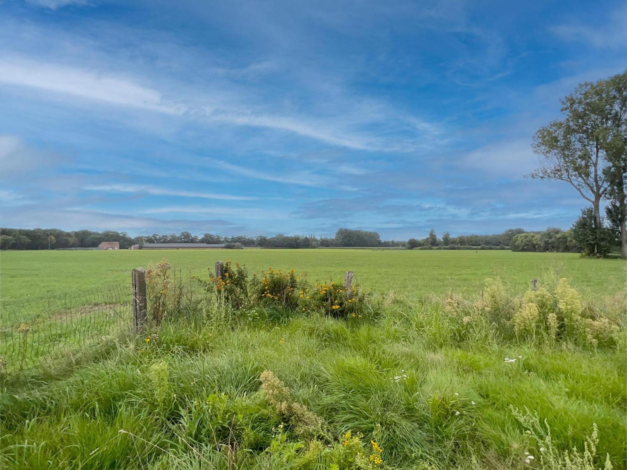 Lindehoeve Villa Turnhout Dış mekan fotoğraf